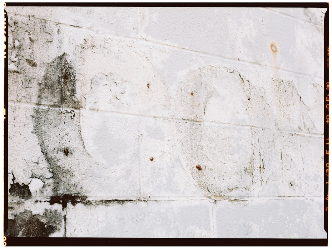 Basement Water Removal service in Davenport, IA