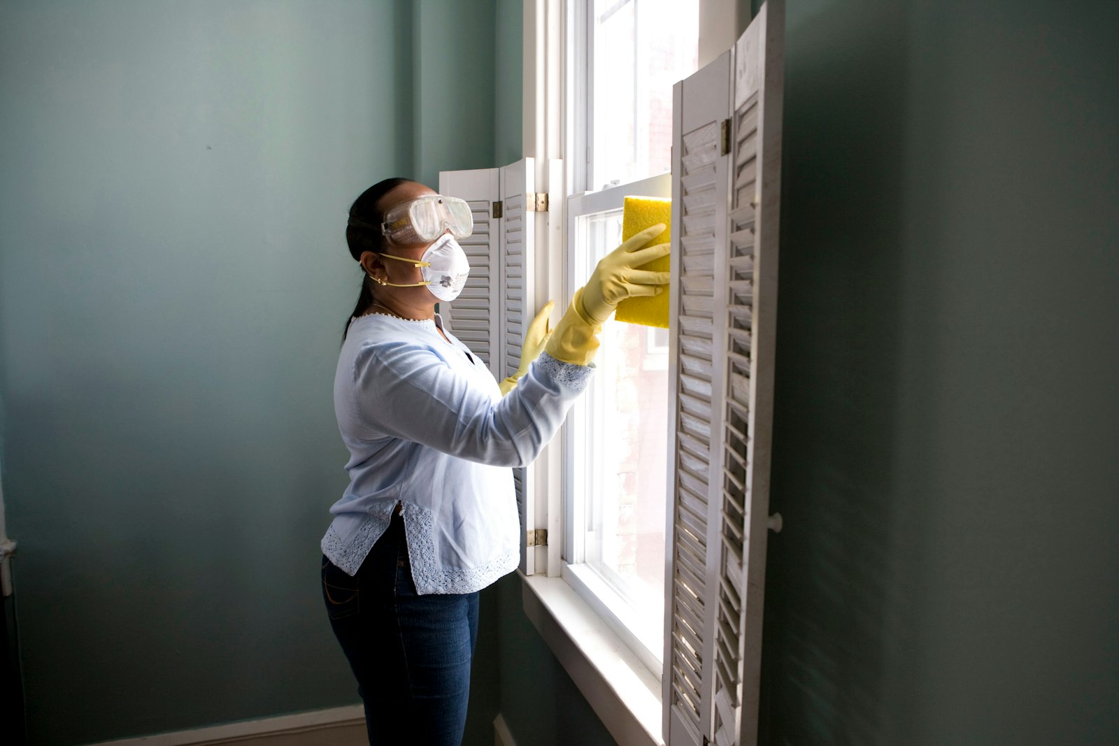 Mold Remediation service in Davenport, IA